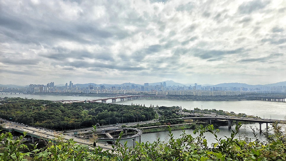 삼백집 금호점 사진 1