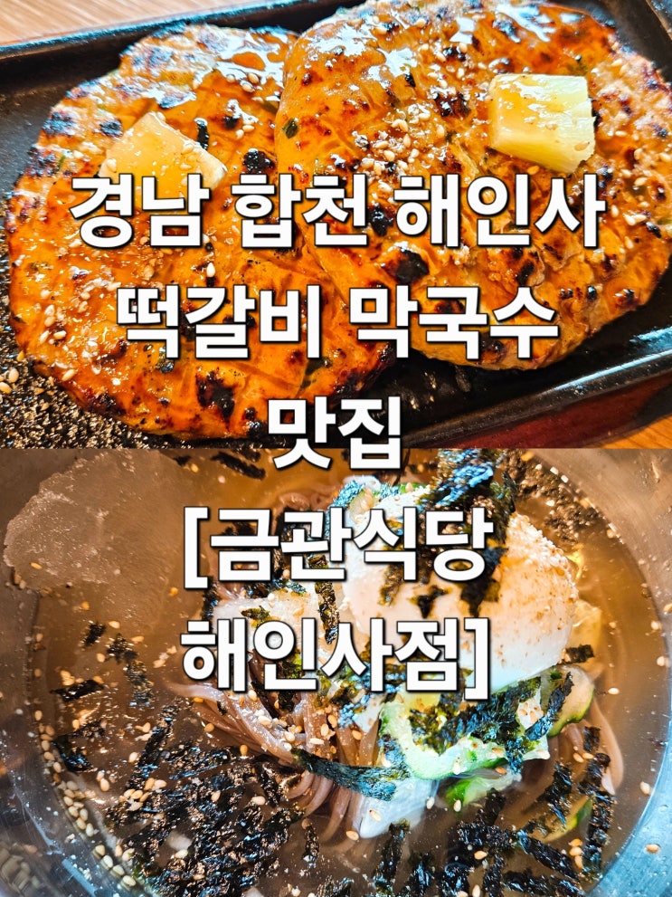  합천 해인사 막국수 떡갈비 세트 솔직 리뷰 '금관식당 해인사점'