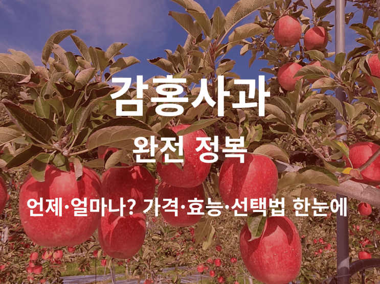  감홍사과 언제·얼마나? 가격·효능·선택법 한눈에 보는 팁