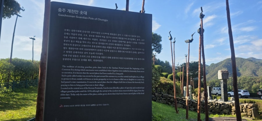 능골 사진 4