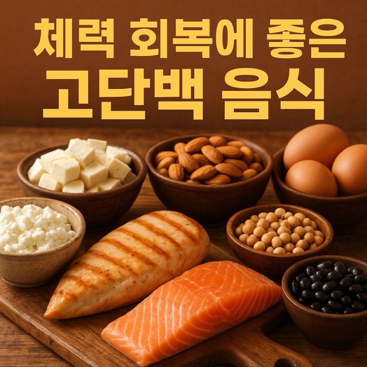 체력 회복에 좋은 고단백 음식  근육과 에너지 채우는 TOP 7