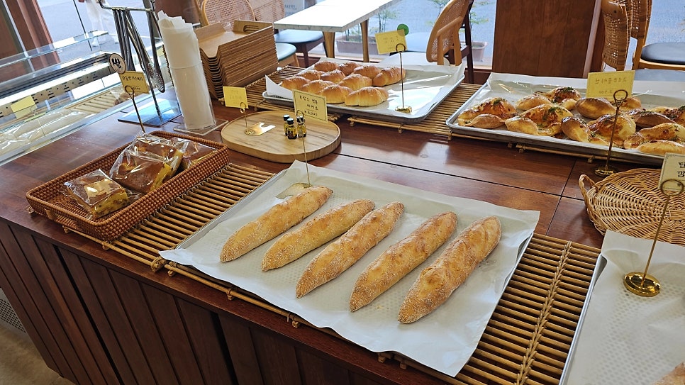 조에알토스 사진 4