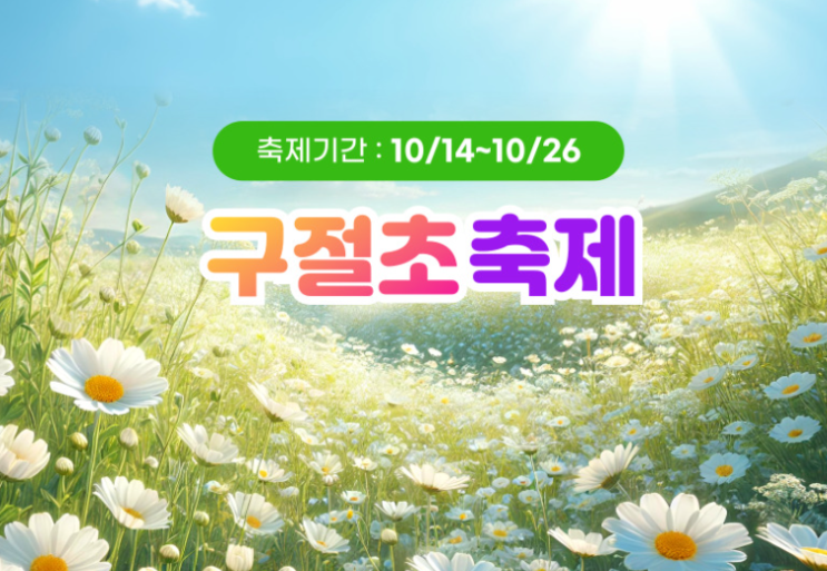 2025 정읍 구절초 축제 입장료 꽃구경 할인 국내 가을 여행지