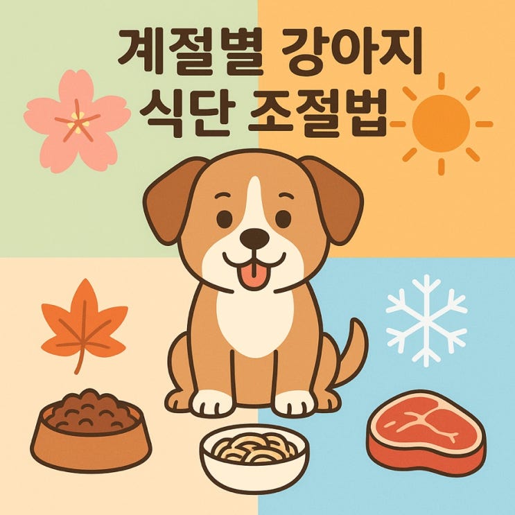  계절별 강아지 식단 조절법 ️ 사계절 건강 지키는 영양 관리 가이드!