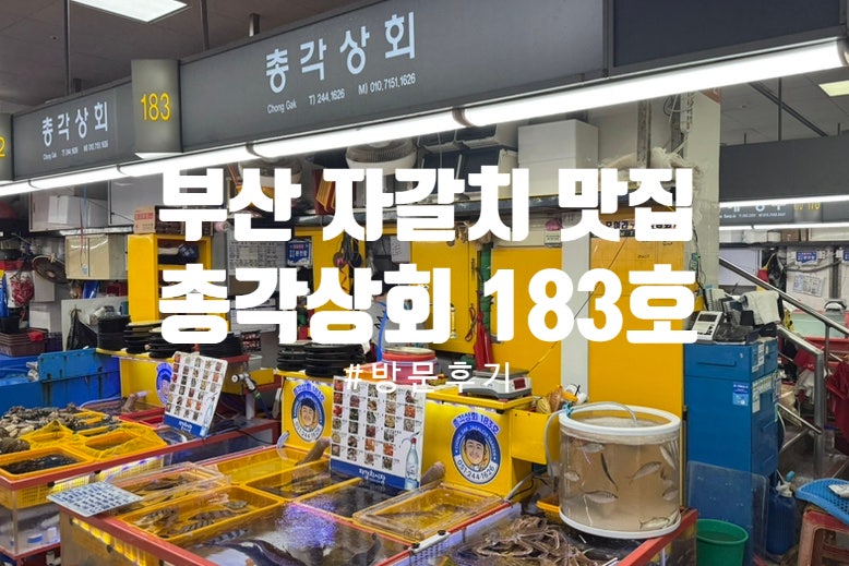 부산 자갈치시장 회센터 총각상회183호 맛집 방문기