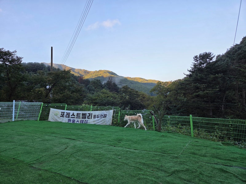 포레스트벨리 동두천점