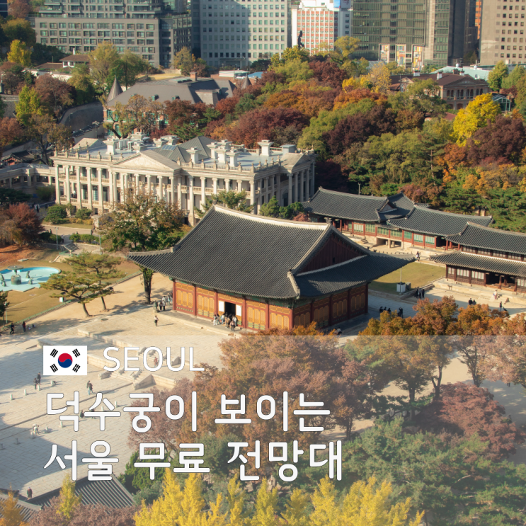  덕수궁이 보이는 서울 무료 정동전망대 카페 시간과 예약 팁