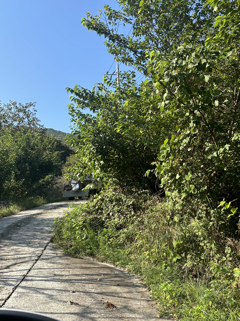 하늘바람정원 사진 2