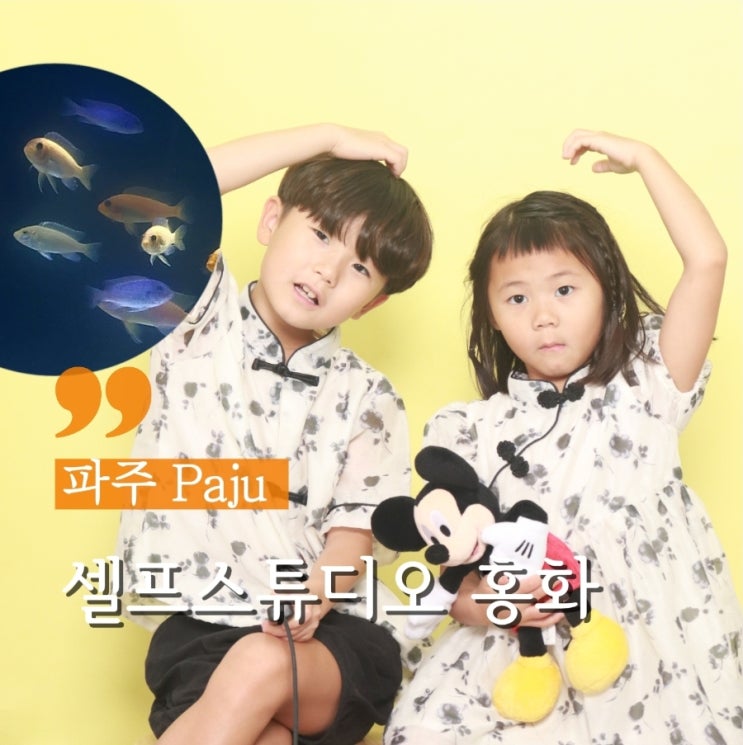  파주 금촌사진관 어항컨셉이 있는 셀프스튜디오 홍화
