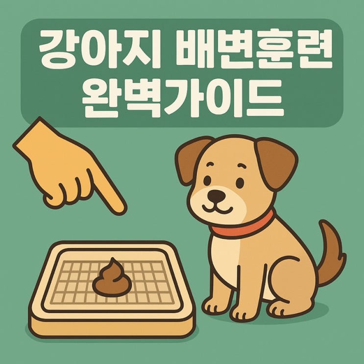  강아지 배변훈련 완벽가이드  실패 없이 100% 성공하는 방법!