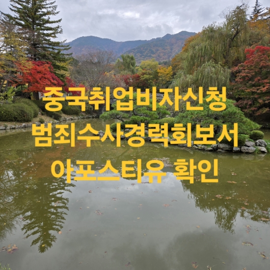  중국 취업비자 발급을 위한 범죄수사경력회보서, 경력증명서, 학력서류 공증 및 아포스티유