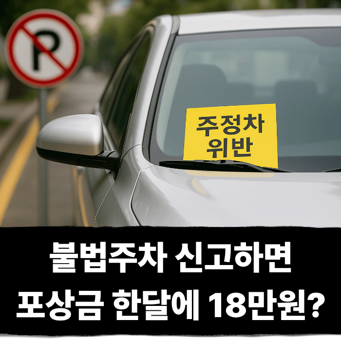  불법주차 신고하고 포상금으로 한달에 18만원 받기