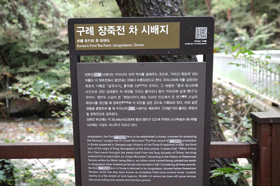 다담 사진 4