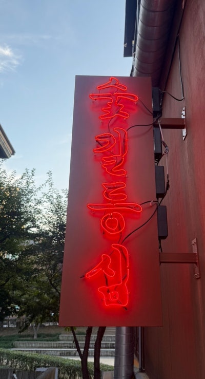 사진 5