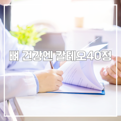  칼테오40정 복용법과 특징 총정리! 뼈 건강 관리는 이렇게 시작해요