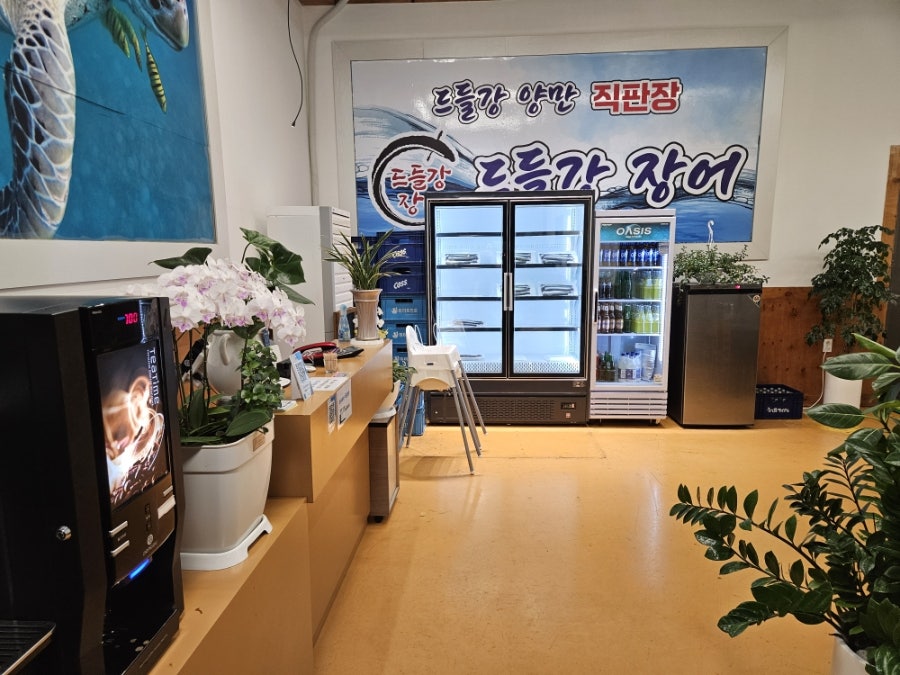 드들강장어 사진 6