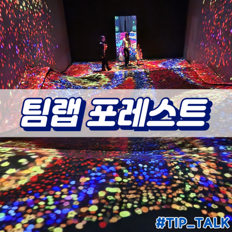  후쿠오카 이색체험 팀랩 포레스트 후기