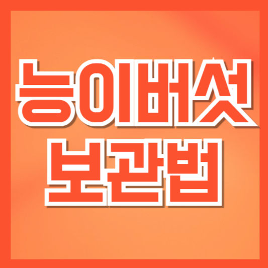  능이버섯 보관법, 신선하게 즐기는 3가지 방법!