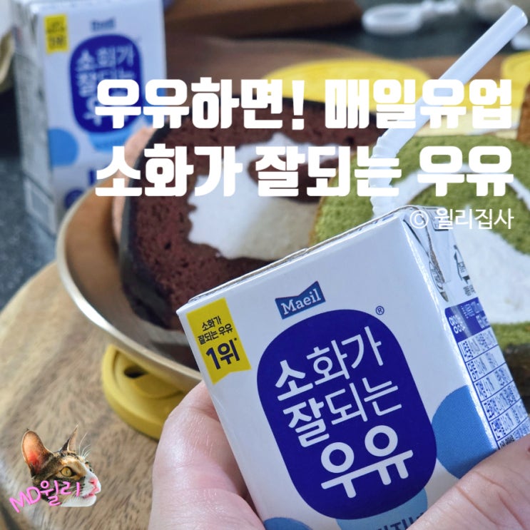  우유설사 배앓이 걱정될 때! 락토프리 매일 소화가 잘되는 우유 미니 솔직 후기