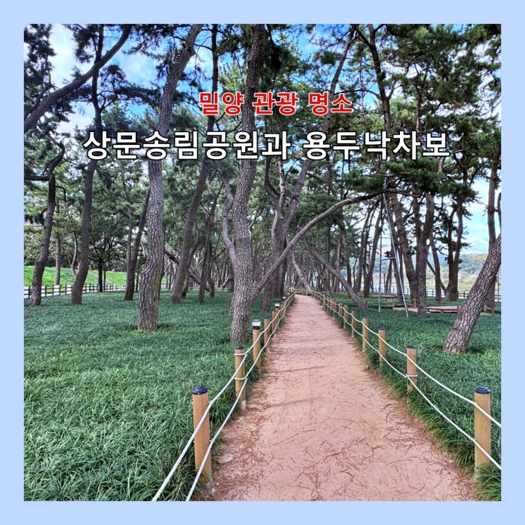  [밀양] 보랏빛 맥문동 명소 '삼문송림공원'과 '용두낙차보'