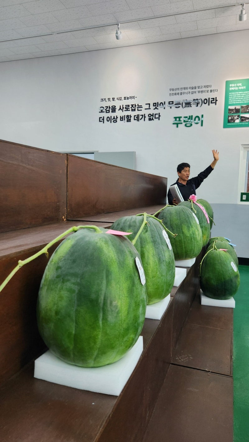 광주 무등산 수박체험