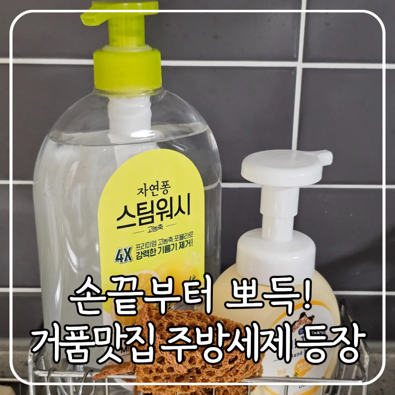 거품잘나는 세제 추천 자연퐁 스팀워시 주방세제
