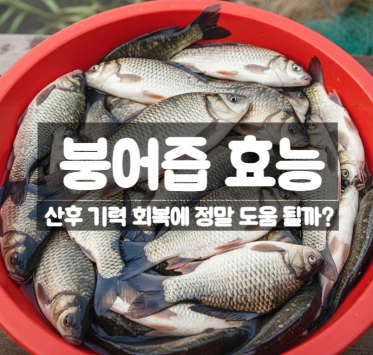  붕어즙 효능 부작용 먹는법 – 산후 기력 회복에 정말 도움될까?