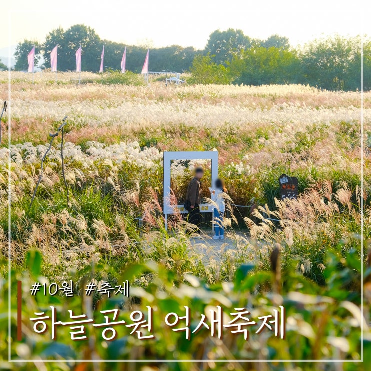  2025 서울 하늘공원 억새축제 기본정보 일정 프로그램