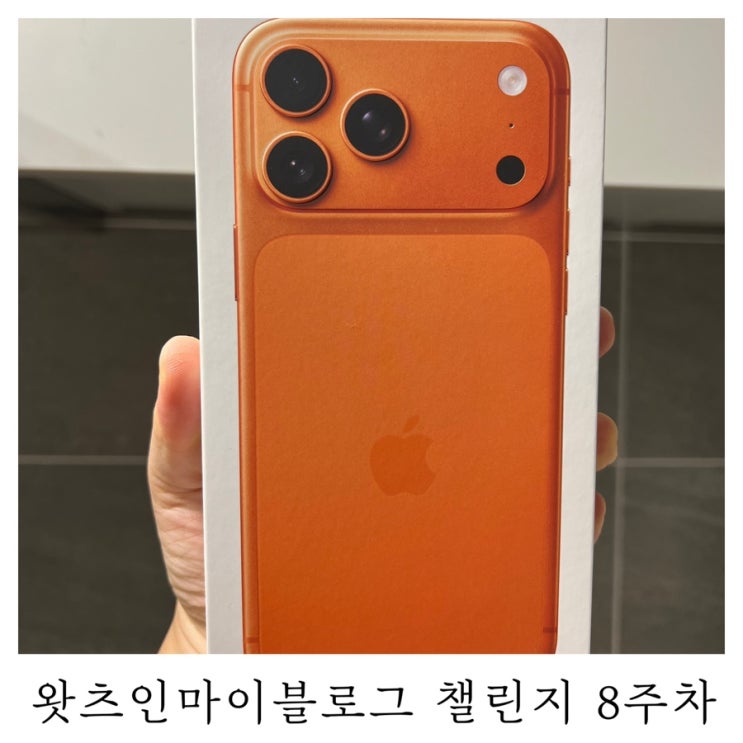  [블챌]왓츠인마이블로그 챌린지 남편님의 선물