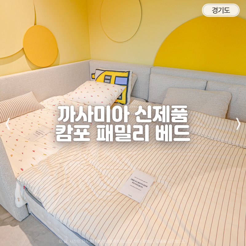 캄포 패밀리 베드 까사미아 리빙파워센터점 저상형 패밀리침대