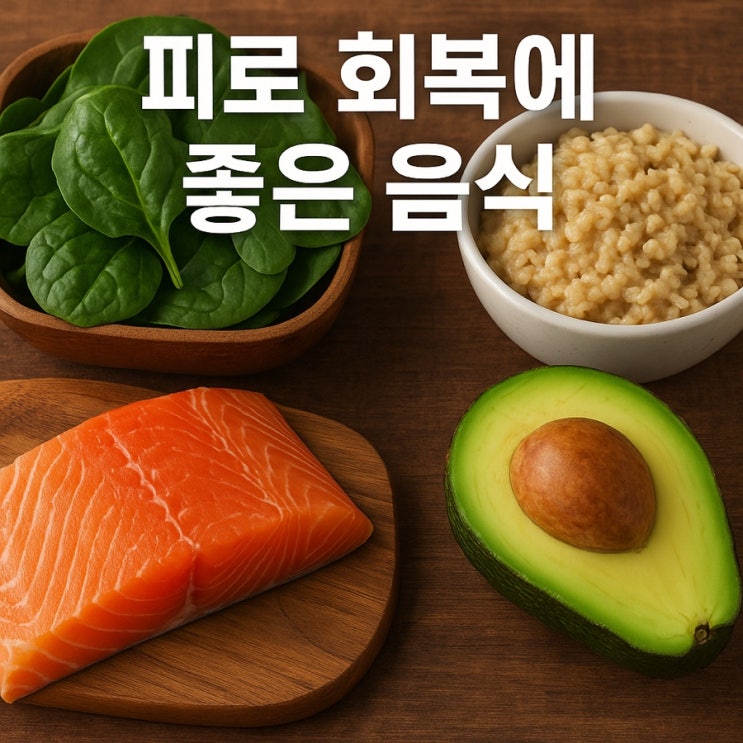  피로 회복에 좋은 음식  에너지 UP! 하루 활력 채우는 식단 TOP 7