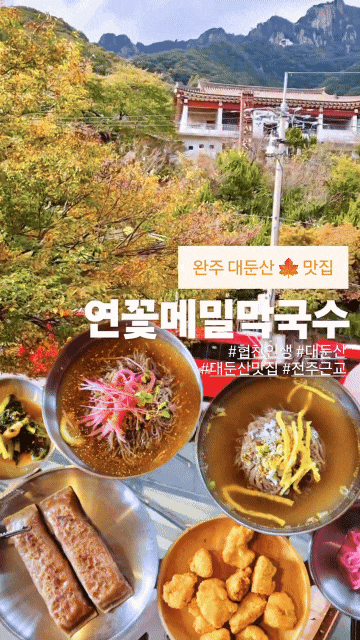  [ 완주 맛집 ] BHC치킨 연꽃메밀막국수 # 대둔산 뷰 맛집 전주근교 드라이브 데이트 단풍 추천 가족여행