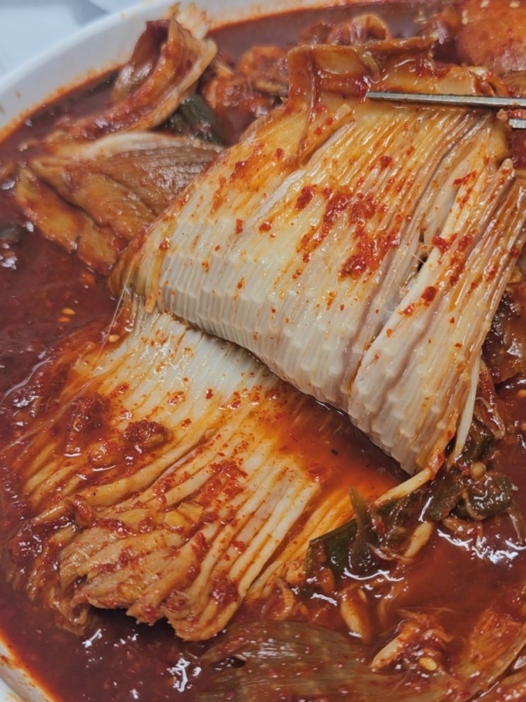  30년 노포 녹원식당에서 맛본 칼칼한 고성 생선찜 가오리찜은 백반기행 맛집 노포더라