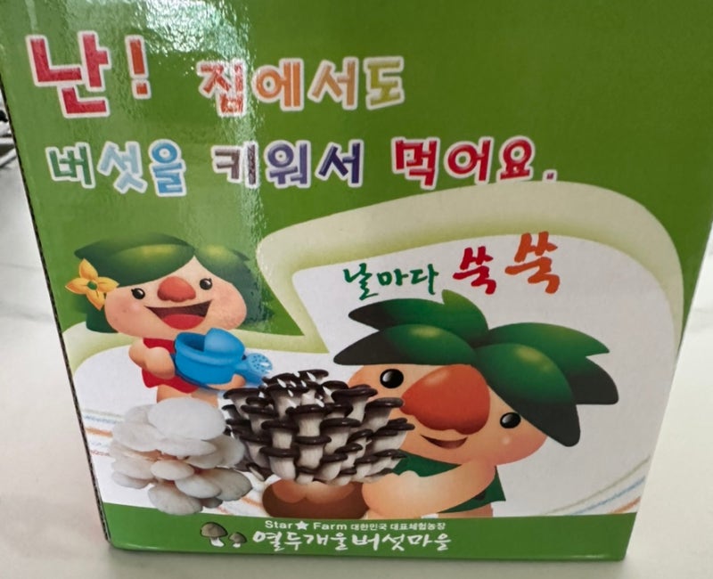 [열두개울버섯마을] 집에서 아이와 느타리버섯 키우기 과연?