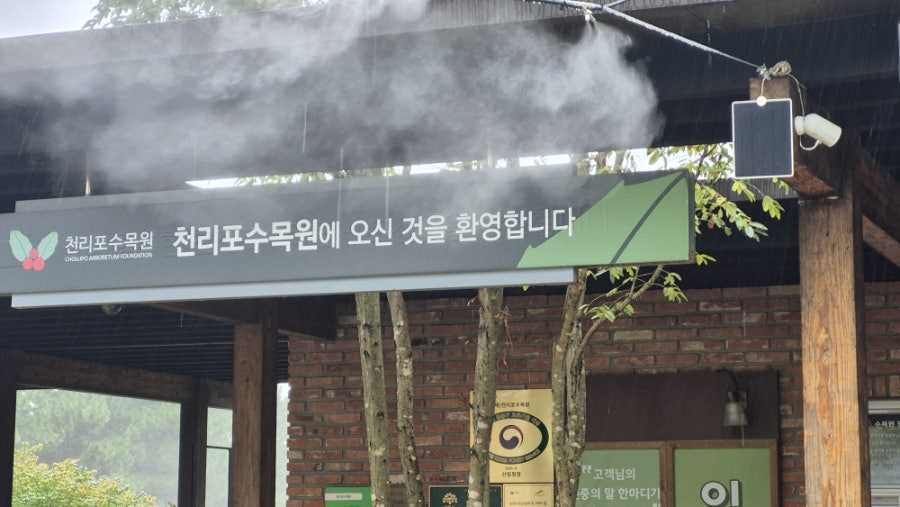 안녕나무야 사진 2