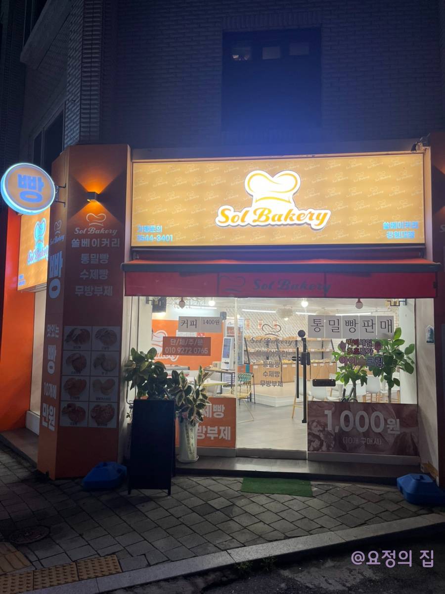 오늘 오란다 사진 1