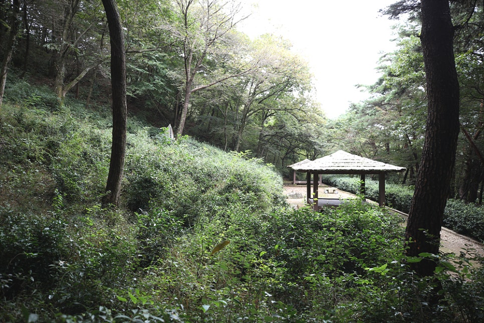 다담 사진 1