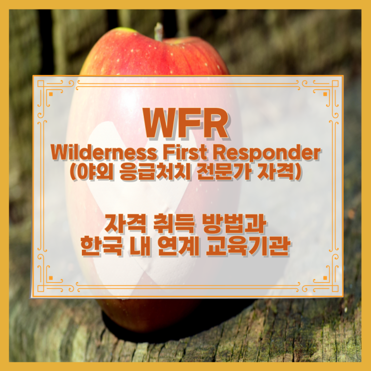 WFR – Wilderness First Responder (야외 응급처치 전문가 자격) 자격 취득 방법과 한국 내 연계 교육기관
