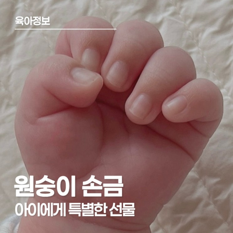  신생아 아기 일자손금(원숭이손금,막손금)을 아시나요?