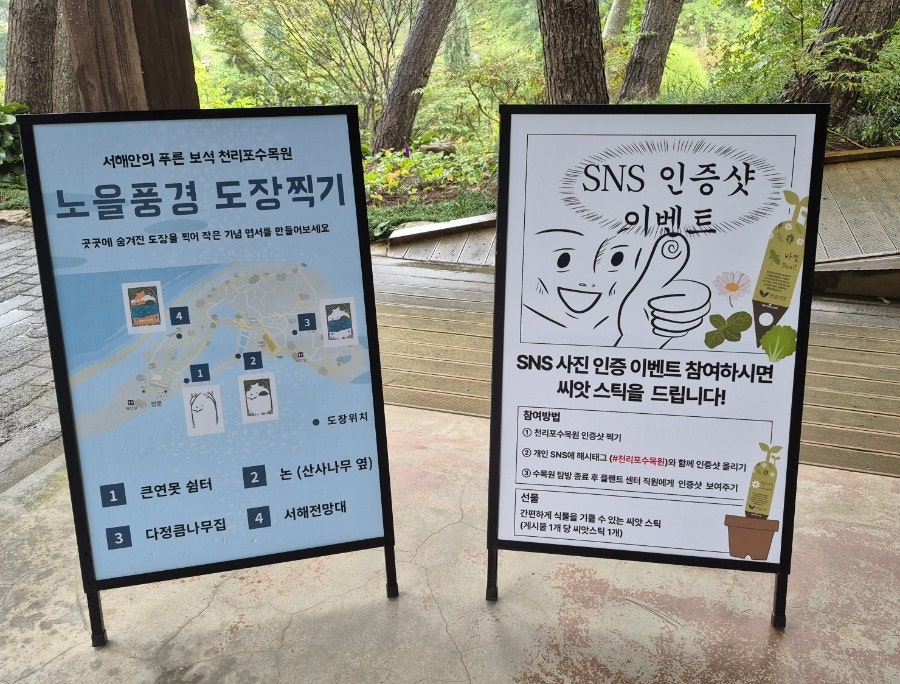 안녕나무야 사진 3