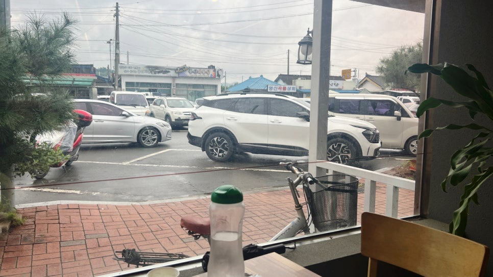 꼬꼬총판 사진 4