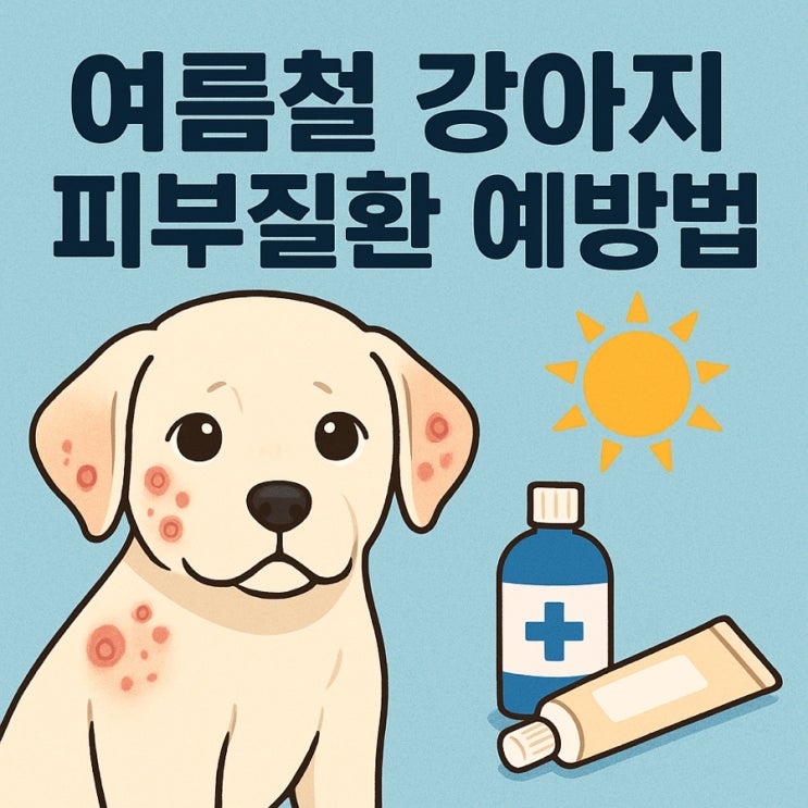  여름철 강아지 피부질환 예방법 ️ 습기·진드기·피부트러블 완벽 차단!