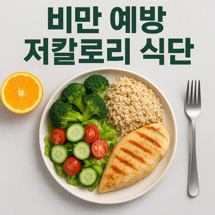  비만 예방 저칼로리 식단  건강하게 체중 감량하는 완벽 가이드!
