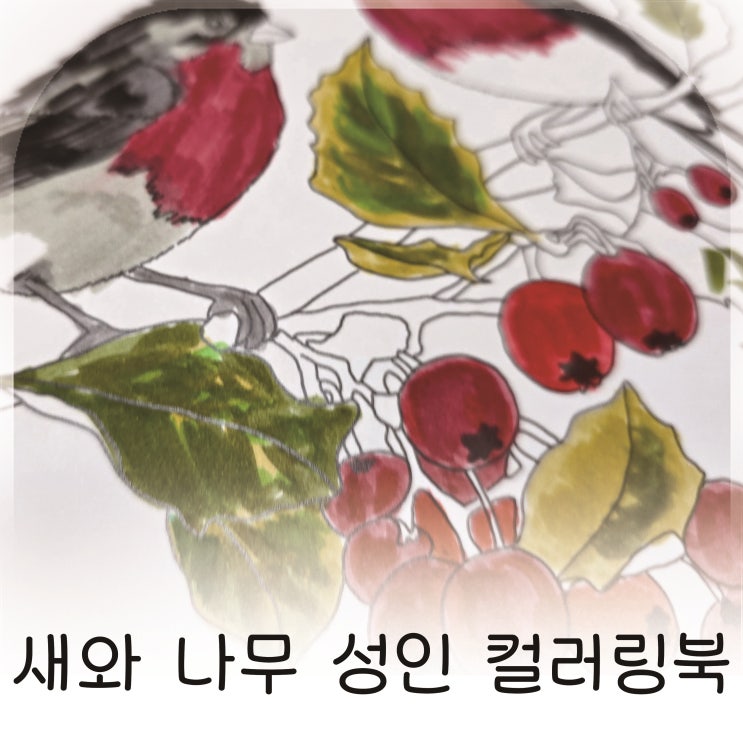  수채화로 즐기는 힐링 취미, 그림이좋은사람들 감성 컬러링북 추천