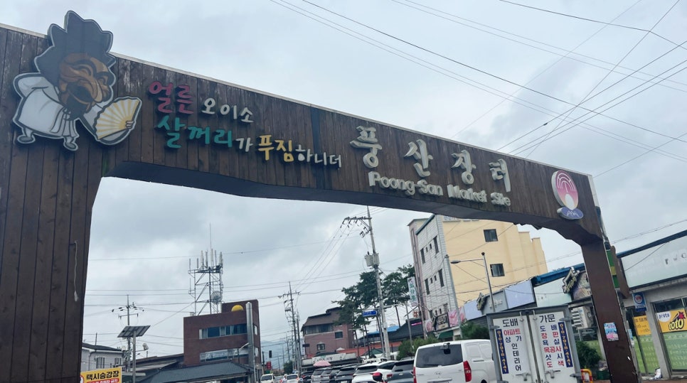꼬꼬총판 사진 2