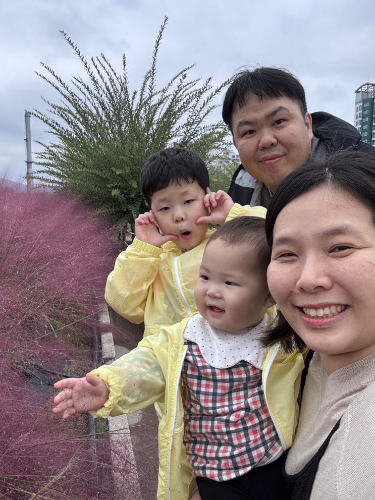  양주 천만 송이 천일홍 축제, 나리공원 산책.