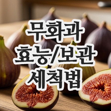  말린 무화과효능부터, 세척법, 보관법 완벽정리