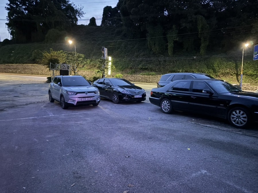 동궁흑염소 사진 2