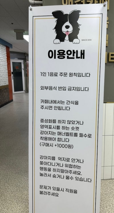 사진 5