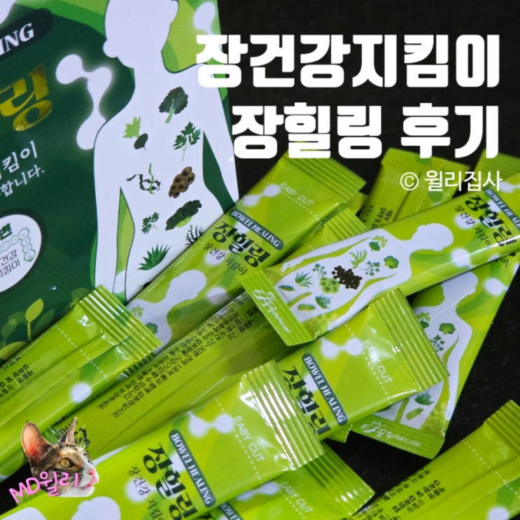  변비에 좋은 음식 고민 끝! 변비직빵 티앤트리 장힐링 솔직 후기